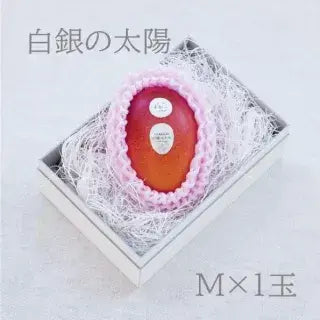 【予約商品／11月より順次発送】白銀の太陽 | 白銀の太陽プレミアム　Mサイズ