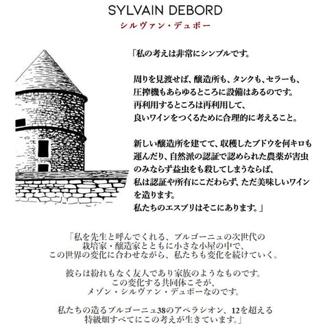 ソムリエ｜コルトン・シャルルマーニュ・グラン・クリュ シルヴァン・デュボー 2019年 フランス ブルゴーニュ 白ワイン 辛口 750ml