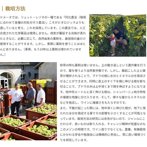 ソムリエ｜キュヴェ'47 ポール・ダンジャン・エ・フィス NV フランス シャンパーニュ シャンパン・白 辛口 750ml