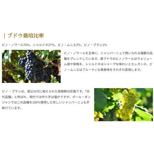 ソムリエ｜キュヴェ'47 ポール・ダンジャン・エ・フィス NV フランス シャンパーニュ シャンパン・白 辛口 750ml