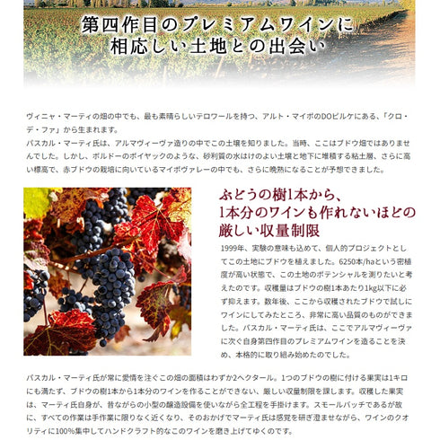 ソムリエ｜クロ・デ・ファ ヴィニャ・マーティー 2020年 チリ マイポ・ヴァレー 赤ワイン 750ml