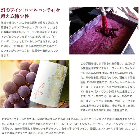 ソムリエ｜クロ・デ・ファ ヴィニャ・マーティー 2020年 チリ マイポ・ヴァレー 赤ワイン 750ml