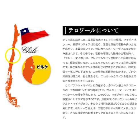 ソムリエ｜クロ・デ・ファ ヴィニャ・マーティー 2020年 チリ マイポ・ヴァレー 赤ワイン 750ml