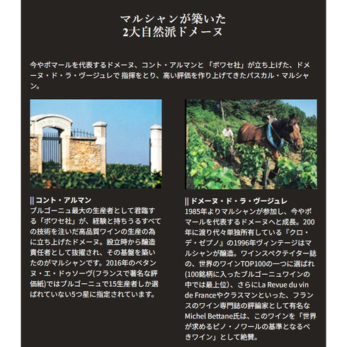 ソムリエ｜マジ・シャンベルタン・グラン・クリュ ヴィーニュ・ド・ラ・ファミーユ・トーズ 2021年 ブルゴーニュ 赤ワイン 750ml