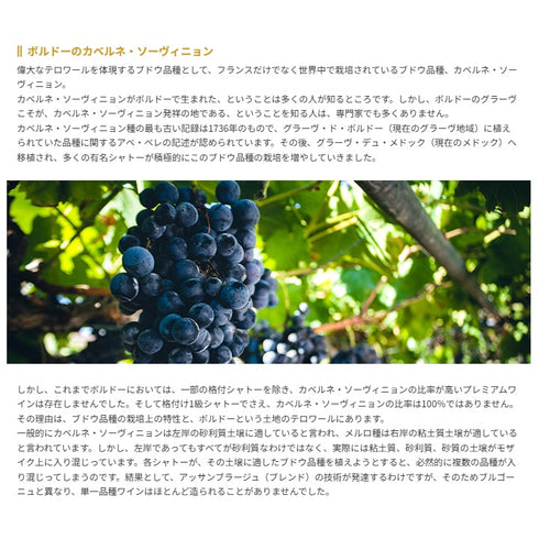 ソムリエ｜クロ・ド・ユザ 2018年 フランス ボルドー 赤ワイン フルボディ 750ml