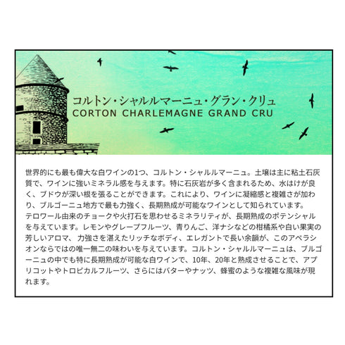 ソムリエ｜コルトン・シャルルマーニュ・グラン・クリュ シルヴァン・デュボー 2019年 フランス ブルゴーニュ 白ワイン 辛口 750ml
