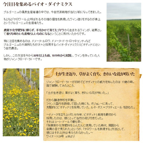 ソムリエ｜ボーヌ・プルミエ・クリュ・レ・クーシュリア ジャン・クロード・ラトー 2022年 フランス ブルゴーニュ 白ワイン 辛口 750ml