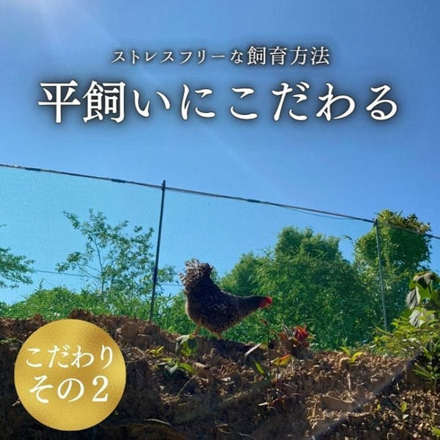 紀の夢｜【30個】美味しすぎる高級卵「紀の夢たまご」（通常サイズ）