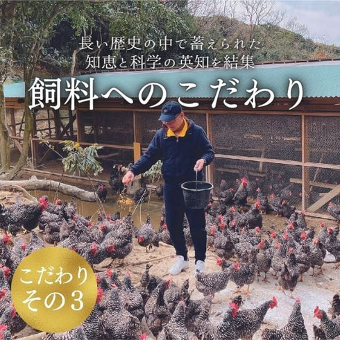 紀の夢｜【30個】美味しすぎる高級卵「紀の夢たまご」（通常サイズ）