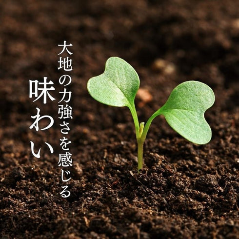 紀の夢｜【30個】美味しすぎる高級卵「紀の夢たまご」（通常サイズ）