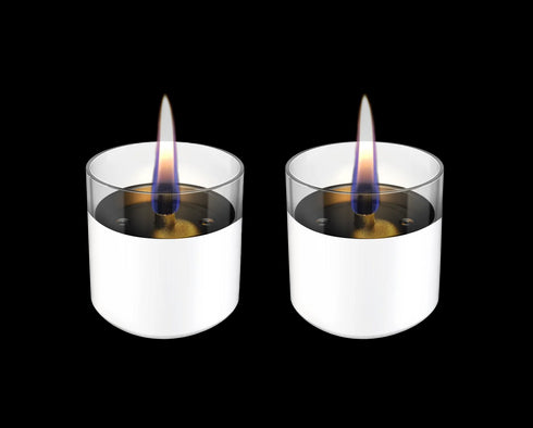 TENDERFLAME｜LILLY 8 / 2-PACK