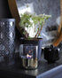 TENDERFLAME｜LILLY 10 GLASS　ゴールド