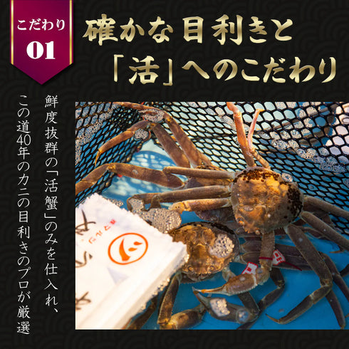 マルツ／まるつ｜【タグ付き】活〆ボイル・松葉がに（小・600ｇ前後）