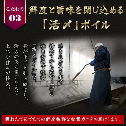 マルツ／まるつ｜【タグ付き】活〆ボイル・松葉がに（特大・900ｇ前後）