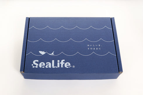 Sea Life｜干物セット(紬)