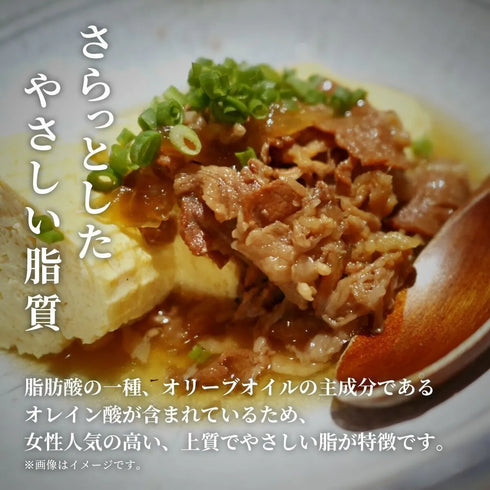 和牛セレブ｜能登牛焼肉セット2段重