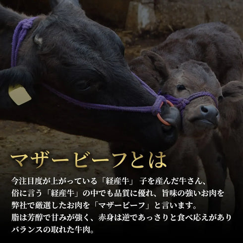 和牛セレブ｜黒毛和牛サーロインステーキ150g×2枚