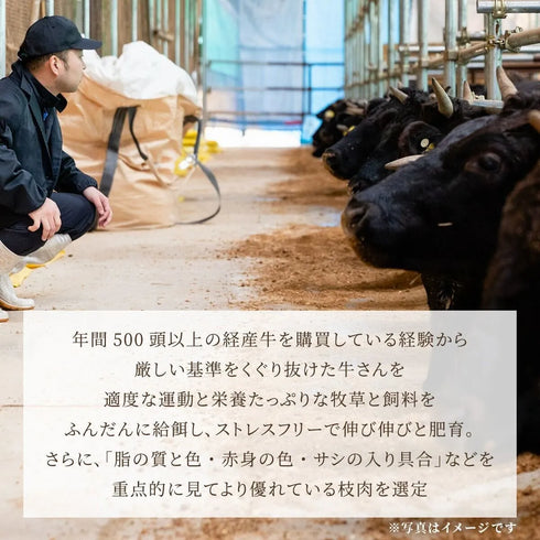 和牛セレブ｜黒毛和牛サーロインスライス 600g