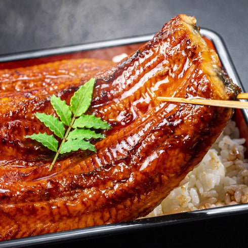 和牛セレブ｜鹿児島うなぎ蒲焼1枚+黒毛和牛A5赤身焼肉200g