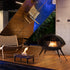 TENDERFLAME｜GLOBE