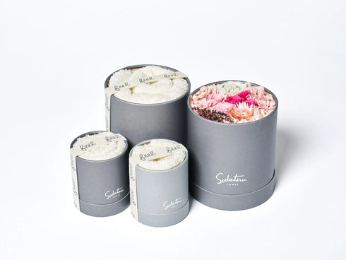 育てるタオル｜feel DECOR L アメリ+タオル3サイズ