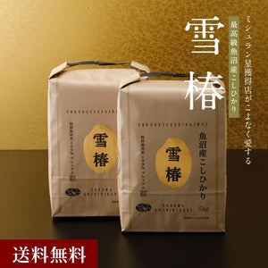 雪椿｜令和7年産新米 最高級魚沼産コシヒカリ「雪椿」10kg