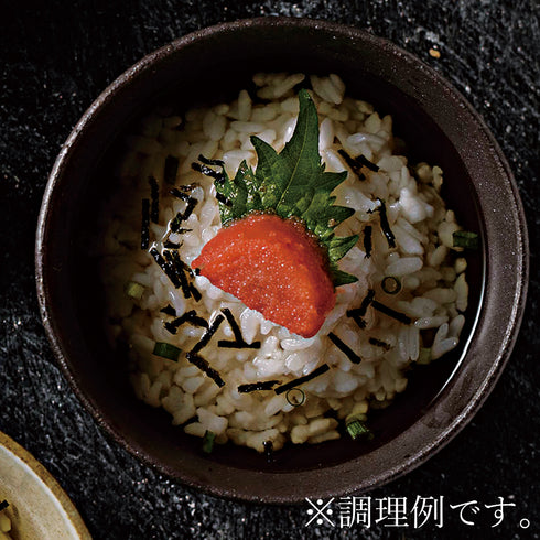 健美の里｜極 茶漬け 10点セット【送料込み】