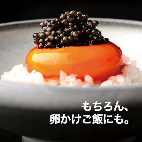 JAPAN CAVIAR｜宮崎キャビア1983 バエリ旨味（20g)
