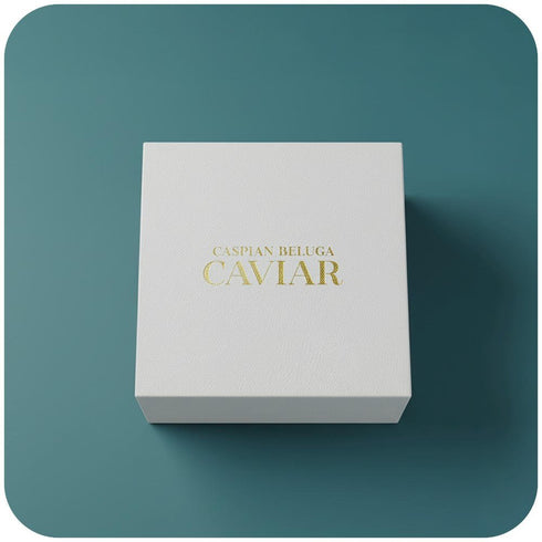 NEXORA｜NEXORA CASPIAN CAVIAR | カスピ海ベルーガキャビア (15g)