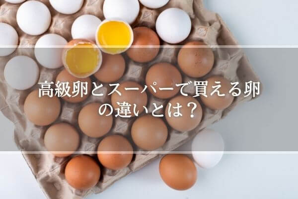 高級卵とスーパーで買える卵の違いとは？